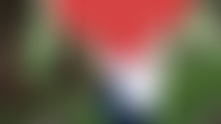 Romance en cuentos y libros ¿Qué mensaje llega a nuestros hijos?