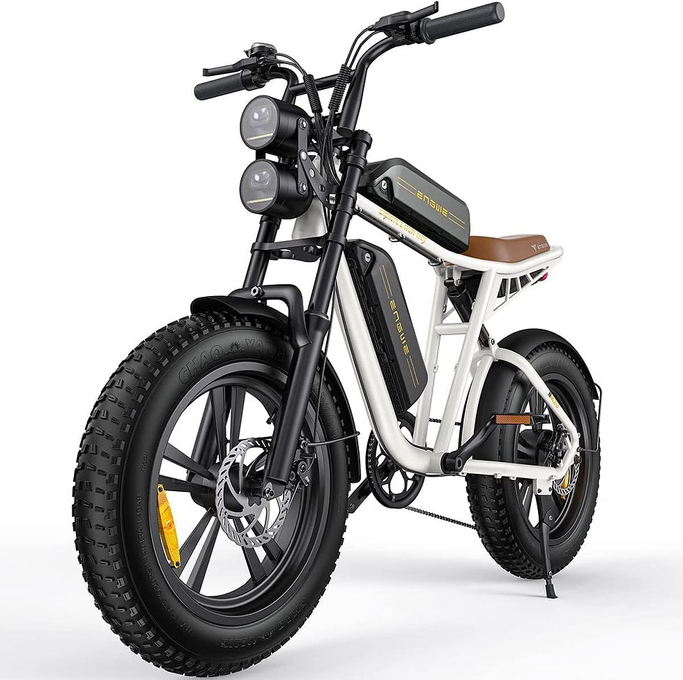 Miniature : ENGWE E Bike Hommes Vélo électrique-Ebike avec Une Batterie/ 2 Batteries