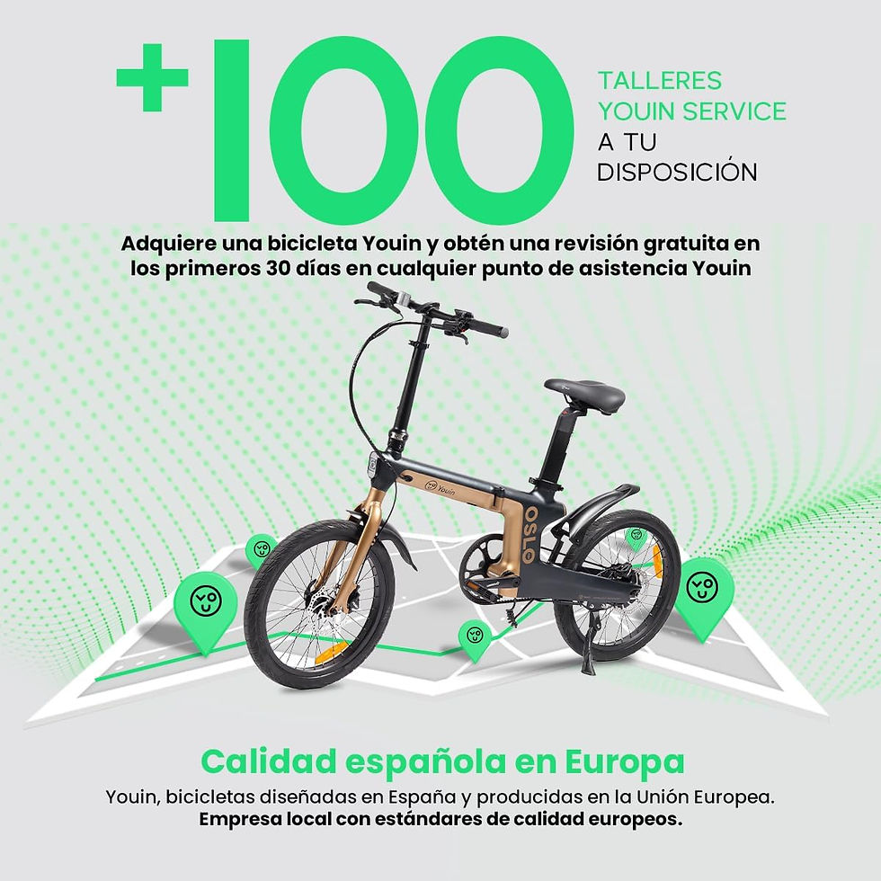 Miniature : Youin Oslo Pro BK1950 Vélo électrique Pliable