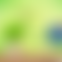 What are the foundations / catalysts for comprehensive brain health?