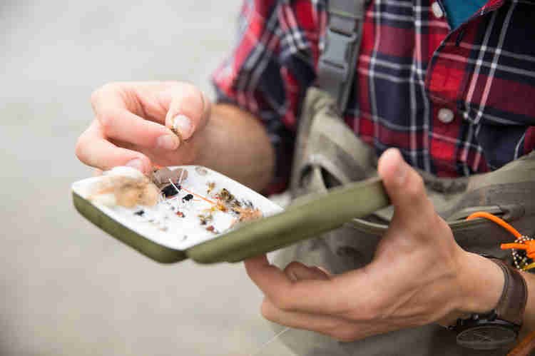 A fisherman selects the right fly