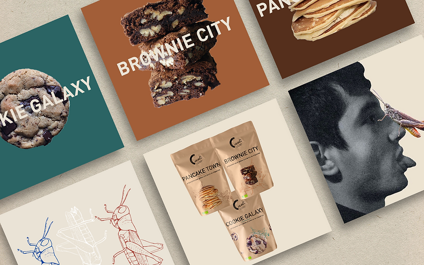 Plan de travail 2 copie 3.png