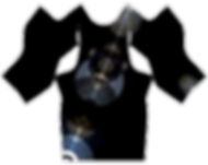 Pattern_with_Print_-_Demo_-_Smaller.png