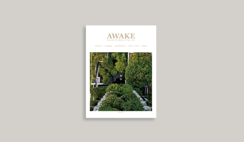 AWAKE BOOK