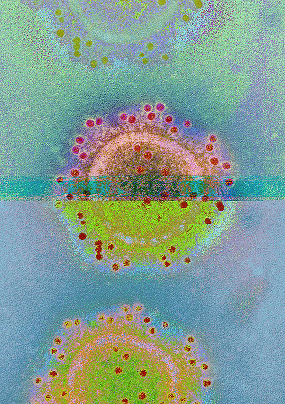 glitch Virus2 .JPEG