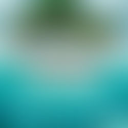 Ediția a II-a a turneului de șah Năvodari Open