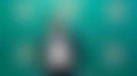 ivan schitco la universitatea ut dallas