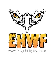 eagle.webp