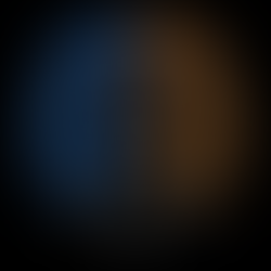 Wofür sind unsere Gehirnhälften zuständig?