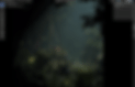 8.gif