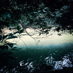 (c) 2007 - Yoco Matuoka