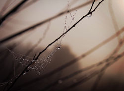 (c) 2007 - Yoco Matuoka