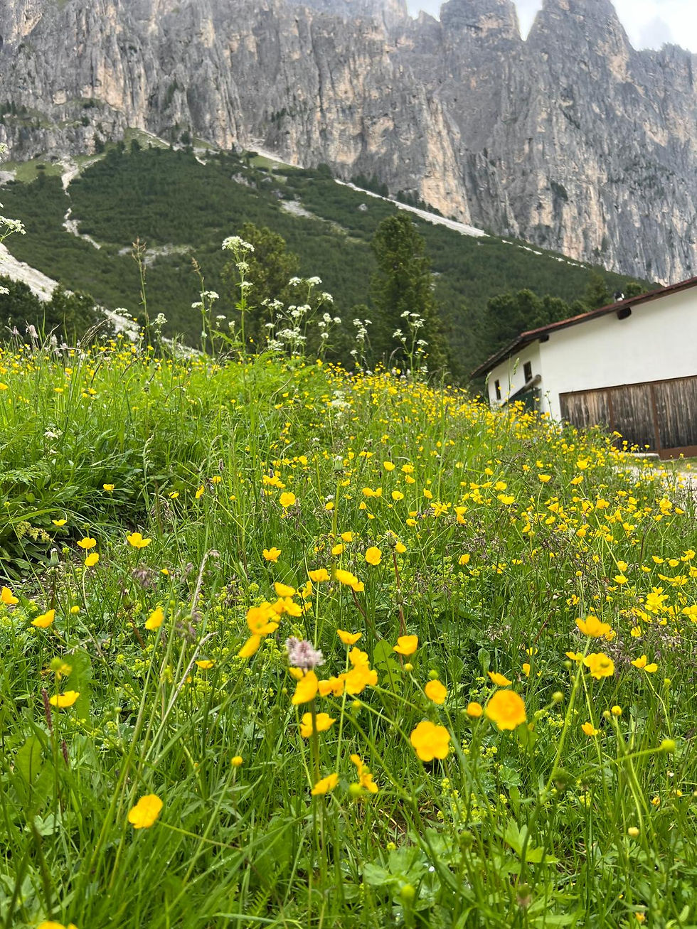 Vista sulle montagne della Val di Fassa durante un'escursione guidata nelle Dolomiti.