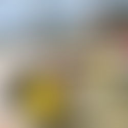 Val di Fassa con bambini: i nostri posti preferiti in estate