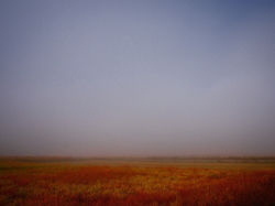 (c) 2007 - Yoco Matuoka