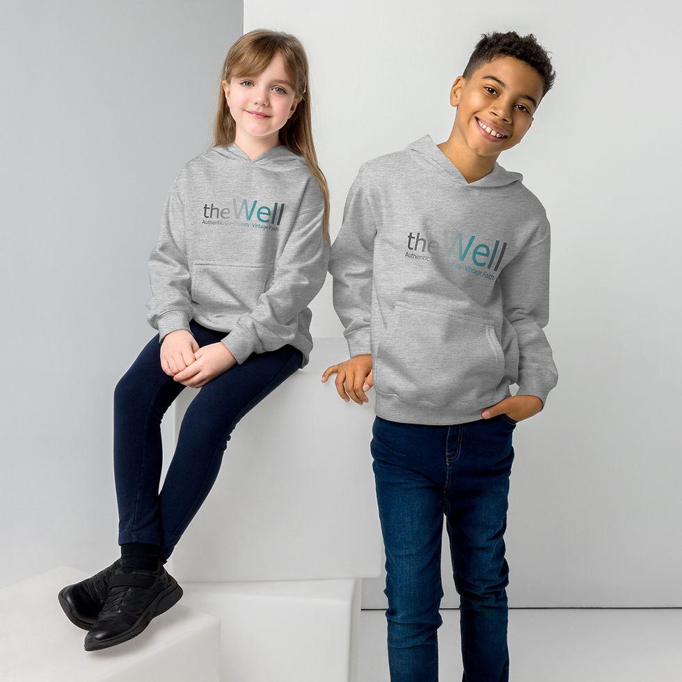 Thumbnail: The Well Kids Hoodie