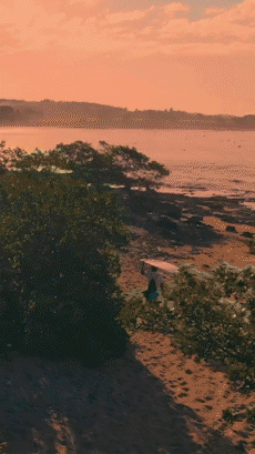 los clavos (iG POST 2).gif