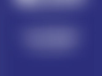 FFRS - mois de lutte contre les violences