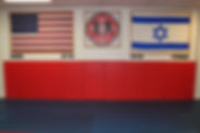 THE ISRAELI MARTIAL ARTS ACADEMY, karate, judo, jiu jitsu hisardut, krav maga