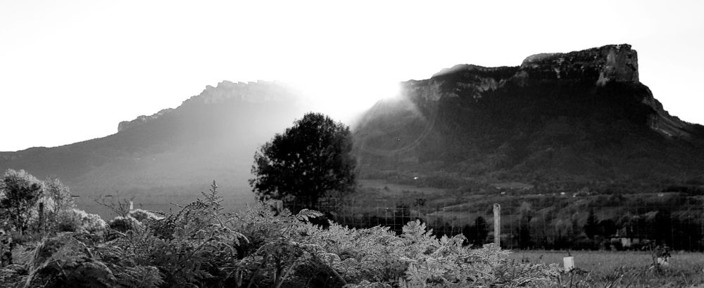Les praslins est le nom du lieu-dit où se trouve mon jardin de culture.
