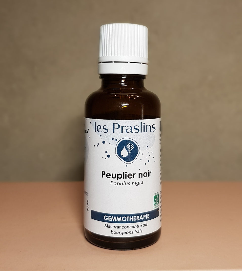 Macérat de bourgeon de Peuplier Noir gemmothérapie