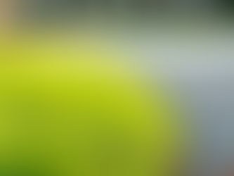 Trimmed edge of lawn