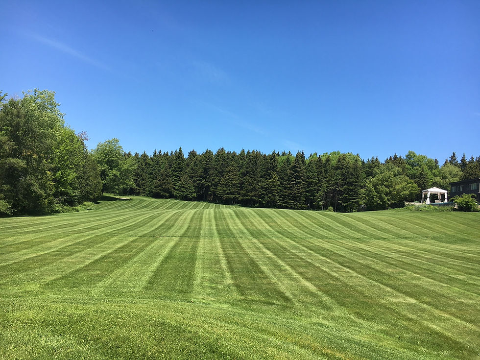 Green lawn with striped mowing patterns stretches toward a dense tree line under a clear blue sky. A white gazebo is visible on the right.