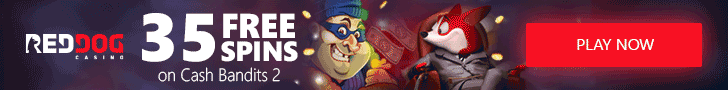 RD_banner_35FS_728x90.gif
