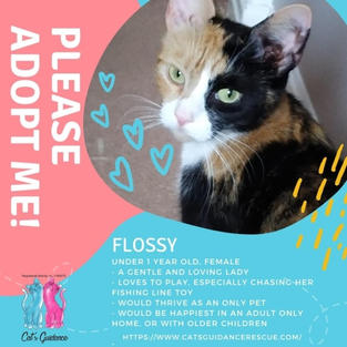 Flossy.jpeg