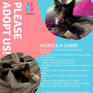 gabby and monica.jpeg