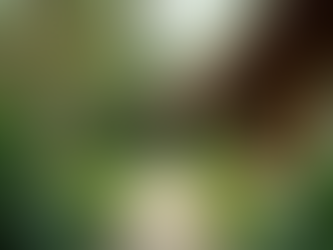 Discover Unforgettable Events at The Mango Tree Center