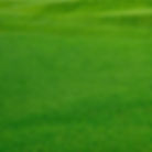 Grass for golfing.jpg
