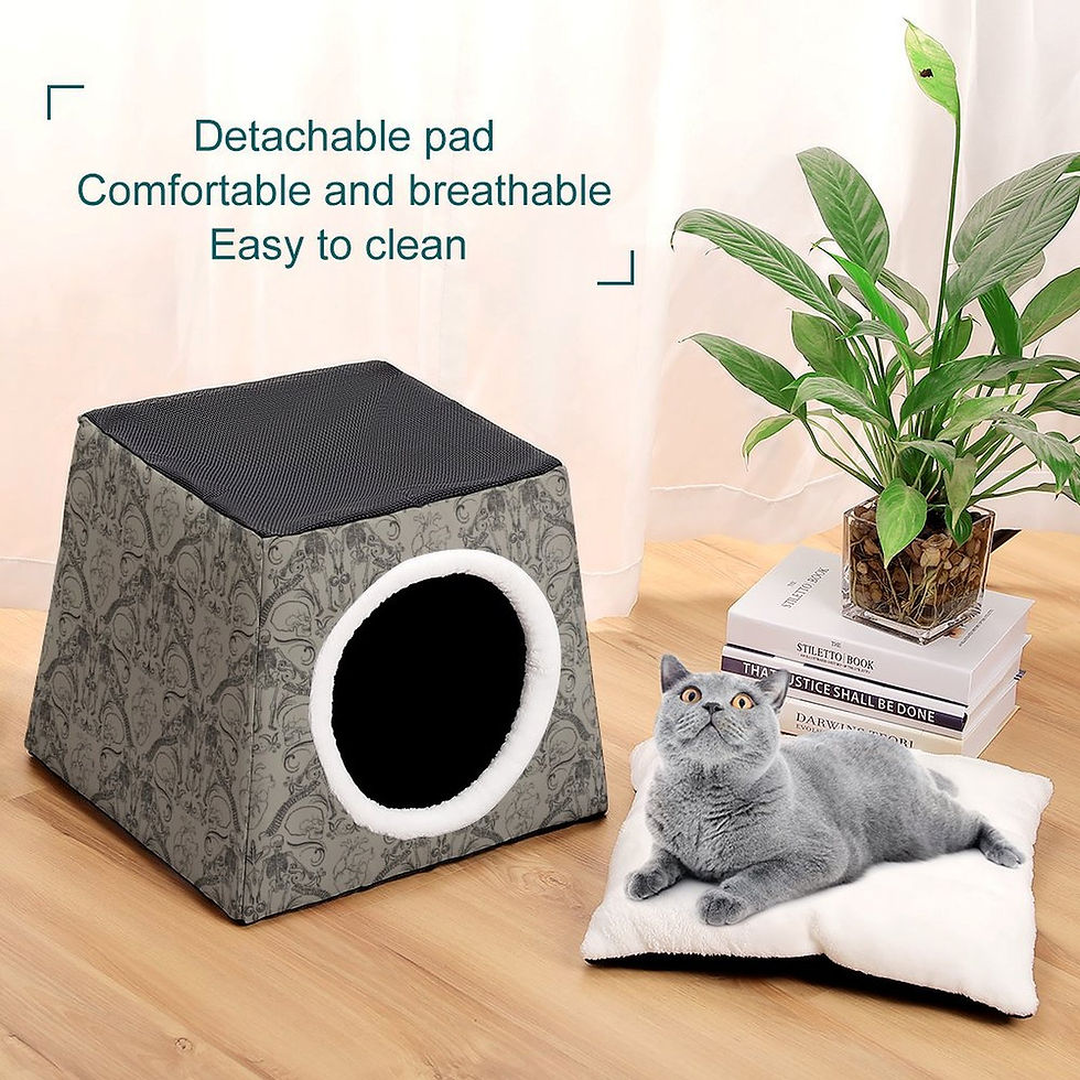Thumbnail: 3-in-1 Pet Bed - Heart and Bone