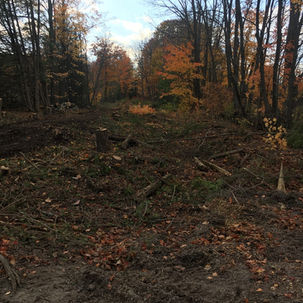 Cleared to build township spec raod