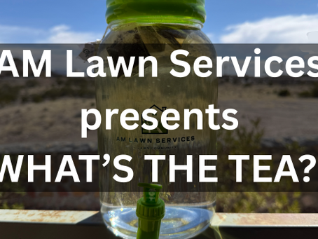 AM Lawn Services has a NEW Video Series!