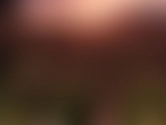 みんなから愛される必要はない