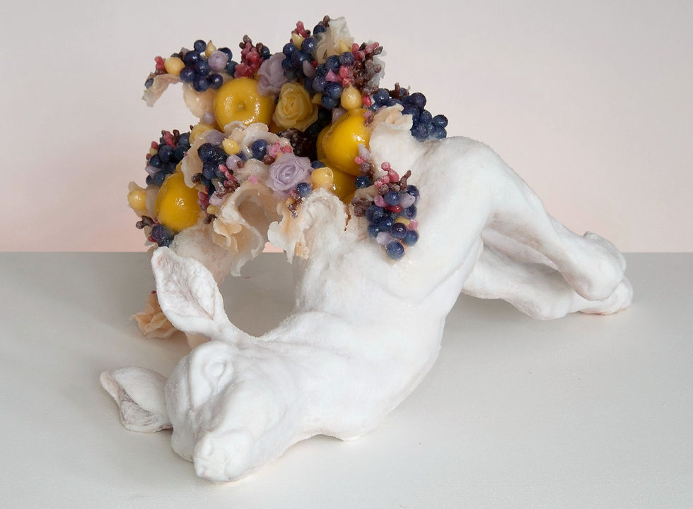 _DSC7946_edited_edited