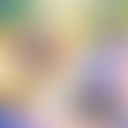 All the latest from Lords Mobile