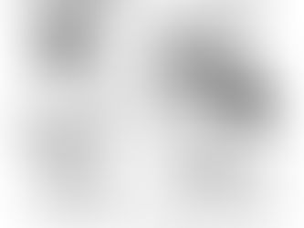 A Reunion, of Sorts.