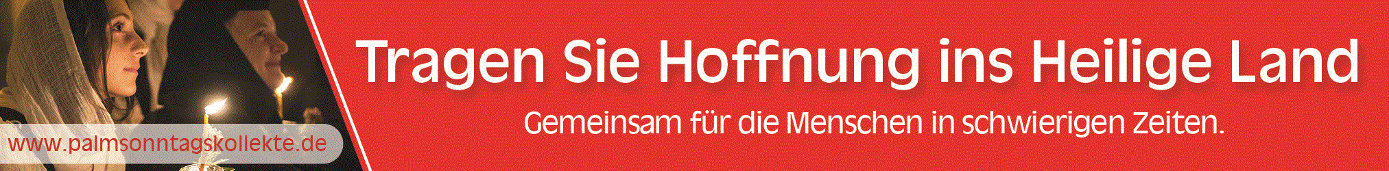 Gestaltungselement_6_486x60.gif
