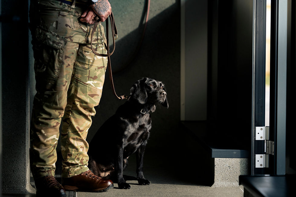 The Princess Royal Opens New Home for Army's Military Working Dogs at Kendrew Barracks in