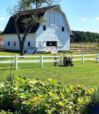 a barn and garden to see on our property