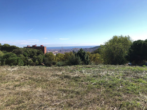IMG_9714.jpeg