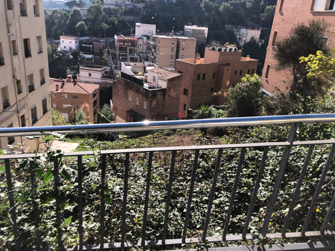 IMG_0020.jpeg