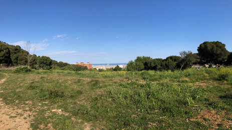 IMG_0579.jpeg