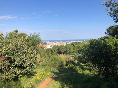 IMG_0585.jpeg