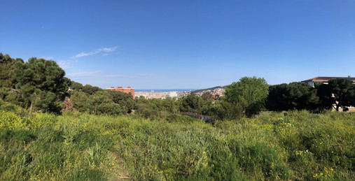 IMG_0583.jpeg