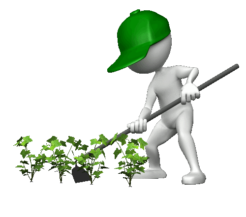 farmer_hoeing_around_plants_anim_500_clr