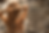 f36e8798-14f3-4d59-8130-878d4e415fca.png
