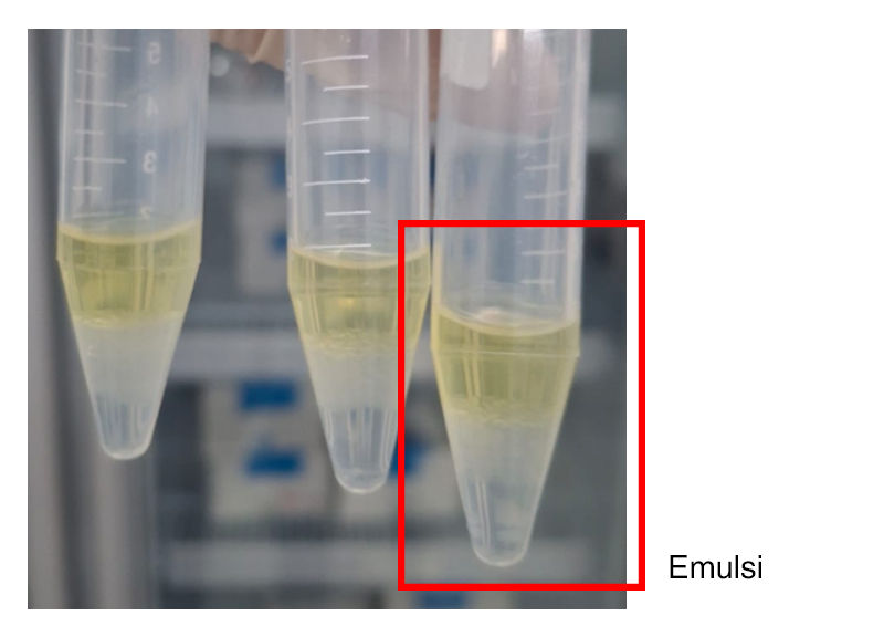 Pembentukan emulsi n-heksana dan fase aqueous dalam ekstraksi kit ELISA